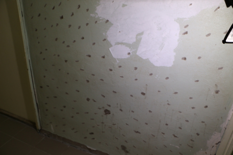 Володин о краснокутской власти: «Самое плохое, когда ни рыба, ни мясо»