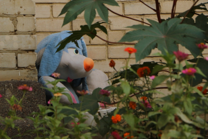 Саратову предложено создать свое ДРСУ для обслуживания дворов