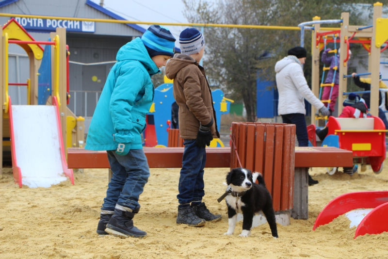 Школьник в восторге от встречи с губернатором: «Он мне прямо в глаза посмотрел!»