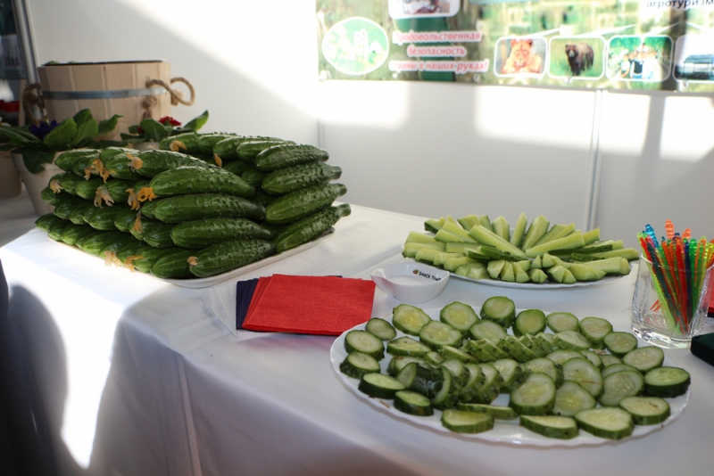 Валерий Радаев подвел итоги 5 лет губернаторства