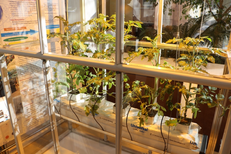 Валерий Радаев подвел итоги 5 лет губернаторства