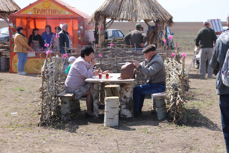 Фестиваль тюльпанов в Саратовской области получился красивым, но пыльным