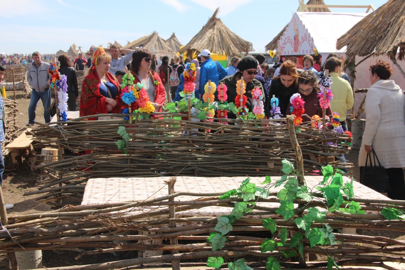 Фестиваль тюльпанов в Саратовской области получился красивым, но пыльным