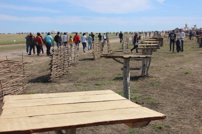 Фестиваль тюльпанов в Саратовской области получился красивым, но пыльным