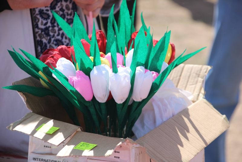 Фестиваль тюльпанов в Саратовской области получился красивым, но пыльным