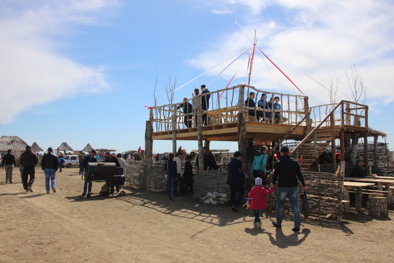 Фестиваль тюльпанов в Саратовской области получился красивым, но пыльным