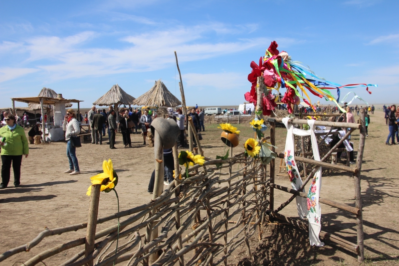 Фестиваль тюльпанов в Саратовской области получился красивым, но пыльным