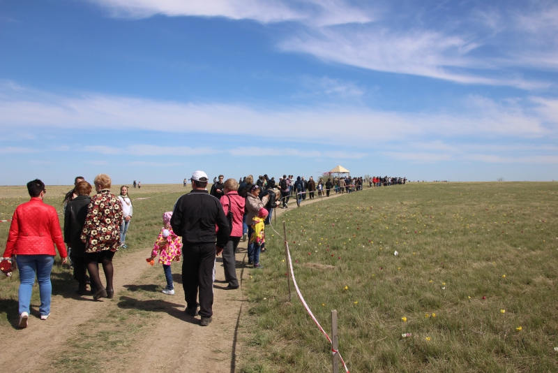 Фестиваль тюльпанов в Саратовской области получился красивым, но пыльным