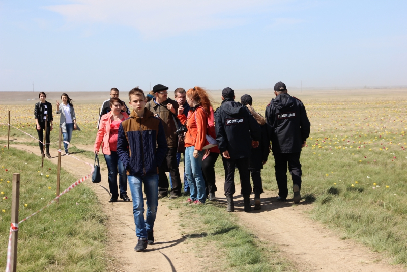 Фестиваль тюльпанов в Саратовской области получился красивым, но пыльным