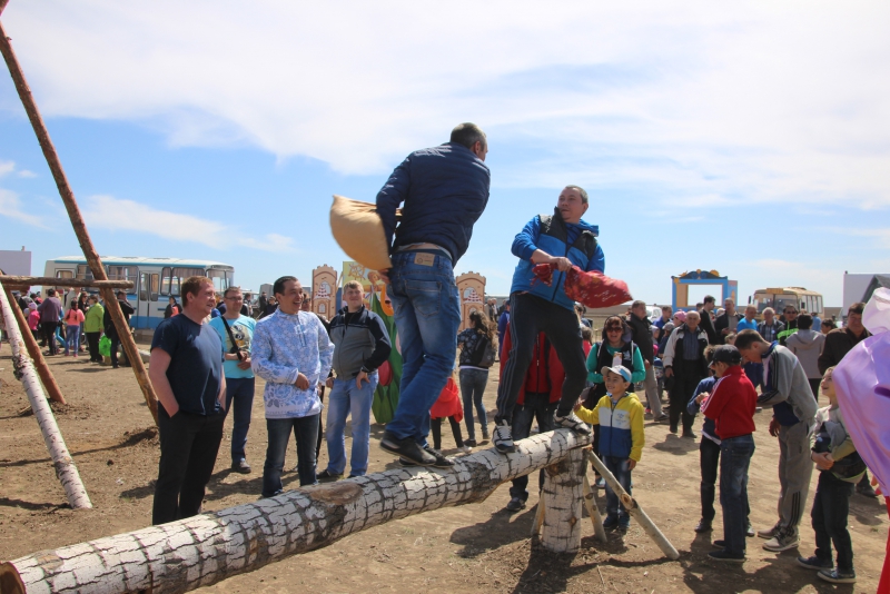 Фестиваль тюльпанов в Саратовской области получился красивым, но пыльным