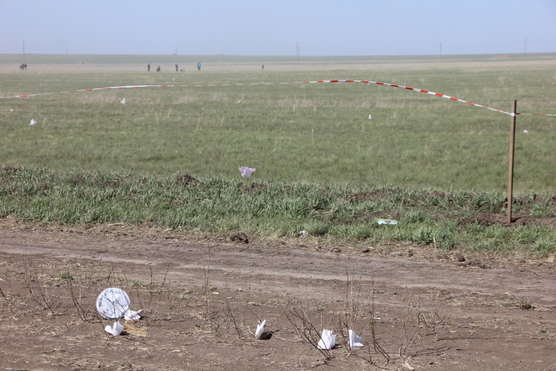 Фестиваль тюльпанов в Саратовской области получился красивым, но пыльным