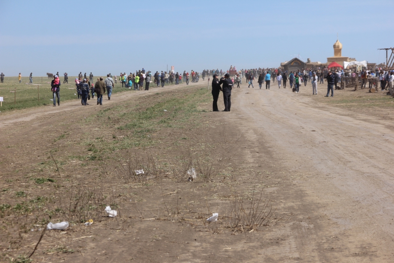 Фестиваль тюльпанов в Саратовской области получился красивым, но пыльным