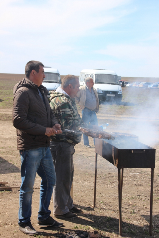 Фестиваль тюльпанов в Саратовской области получился красивым, но пыльным