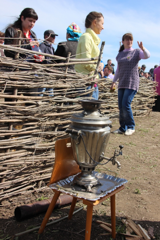 Фестиваль тюльпанов в Саратовской области получился красивым, но пыльным
