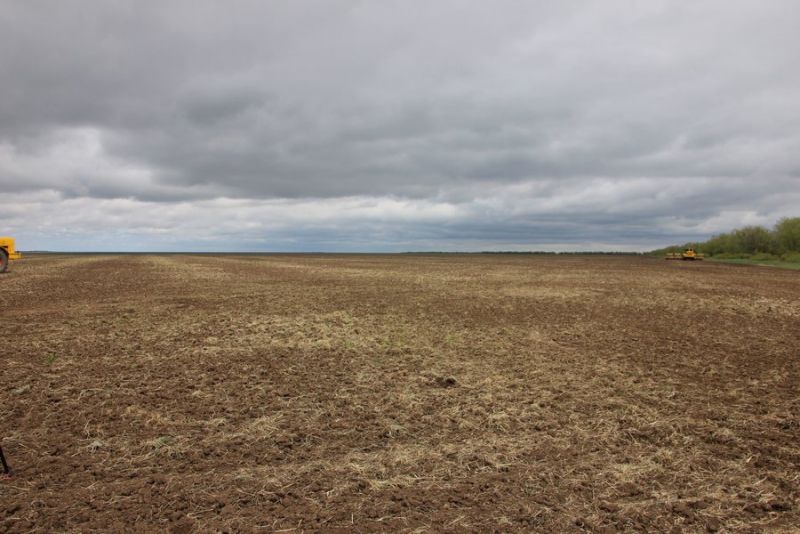 В Дергачах Валерий Радаев наблюдал за «рискованной» посевной кампанией