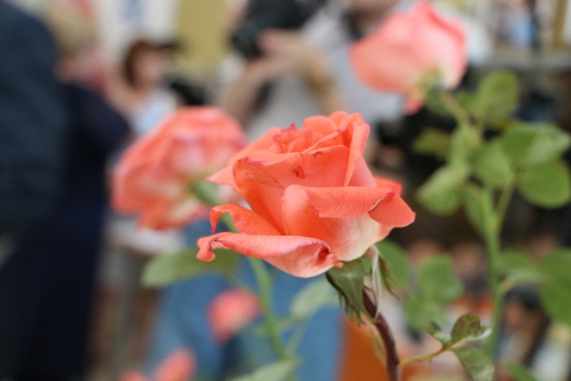 Глава Саратовской области своим подчиненным: Мы на верном пути