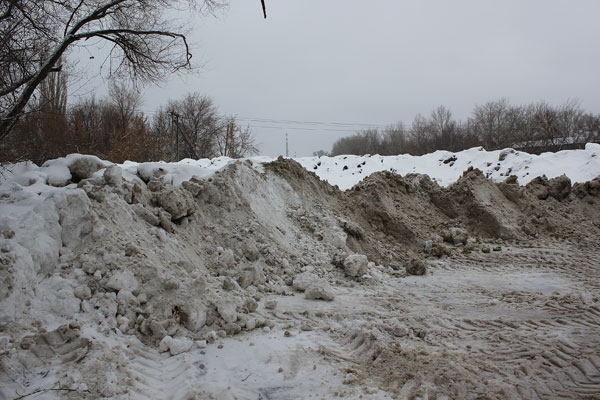 На берегу озера Банное в Энгельсе обнаружена незаконная свалка снега