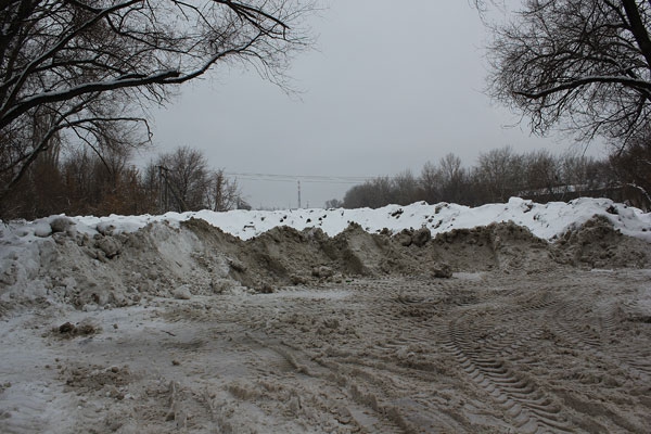 На берегу озера Банное в Энгельсе обнаружена незаконная свалка снега