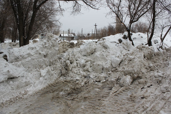 На берегу озера Банное в Энгельсе обнаружена незаконная свалка снега
