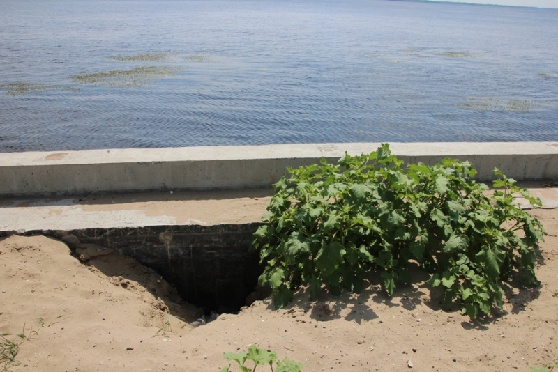 Провал на набережной Саратова зарос травой