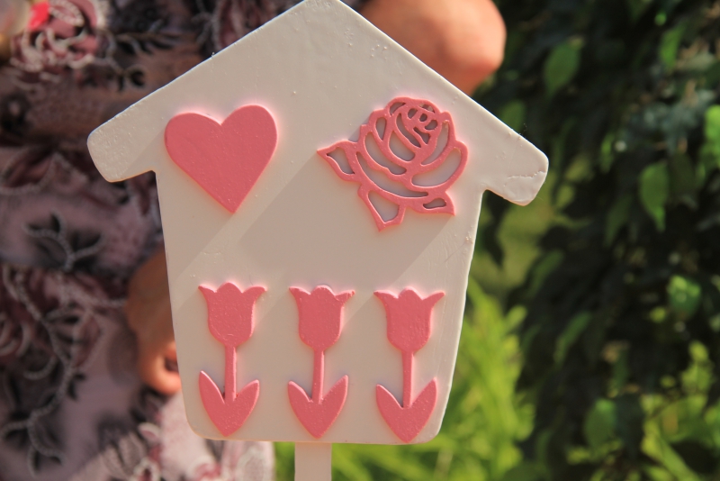 Прошел первый фестиваль «Аткарские розы»