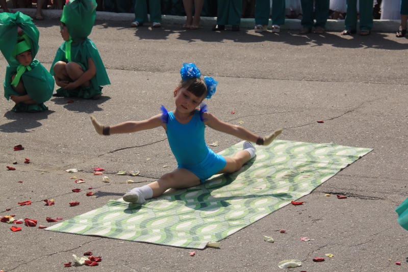 Прошел первый фестиваль «Аткарские розы»
