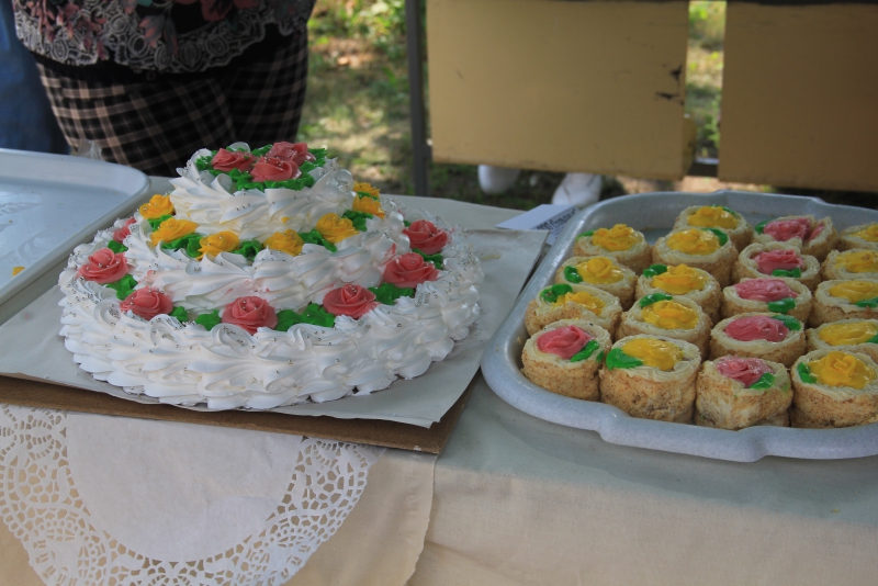 Прошел первый фестиваль «Аткарские розы»