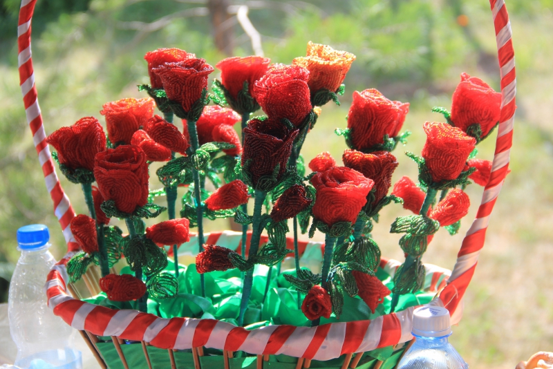 Прошел первый фестиваль «Аткарские розы»