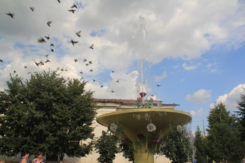 Прошел первый фестиваль «Аткарские розы»