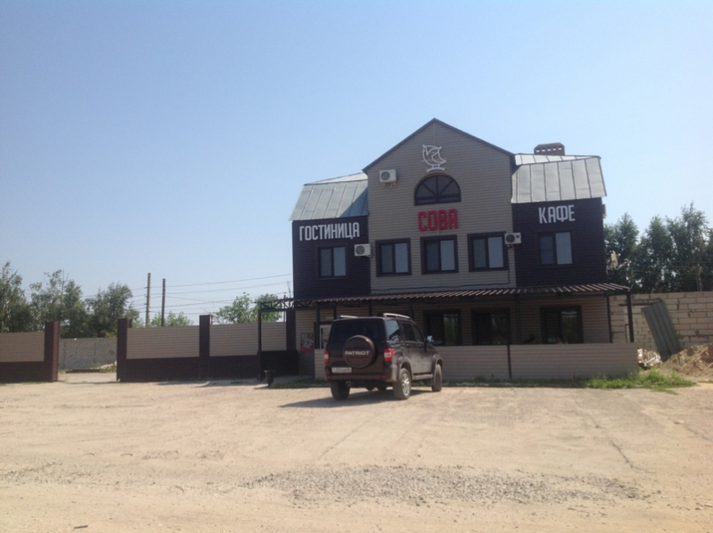 В придорожных кафе нашли мясо дикого кабана