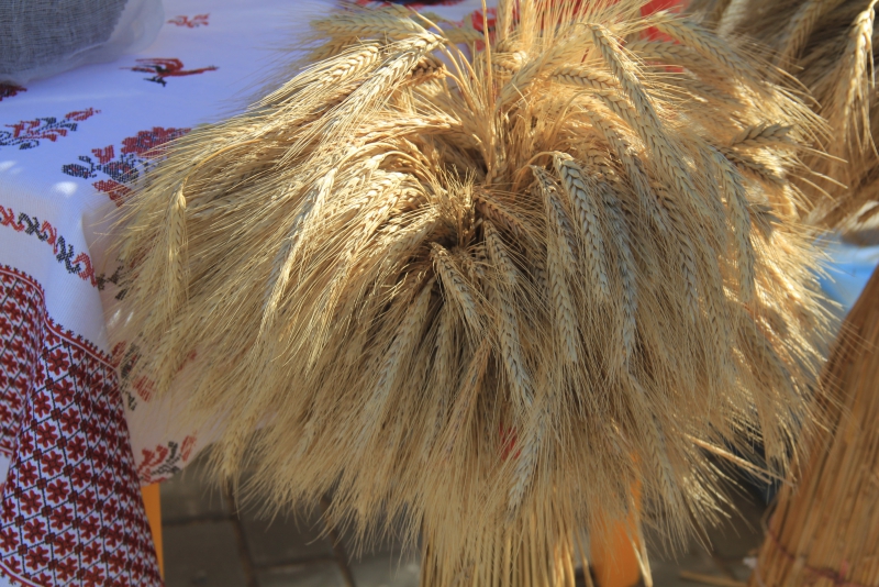 На хлебной пристани в Марксе выставили 350-килограммовый каравай