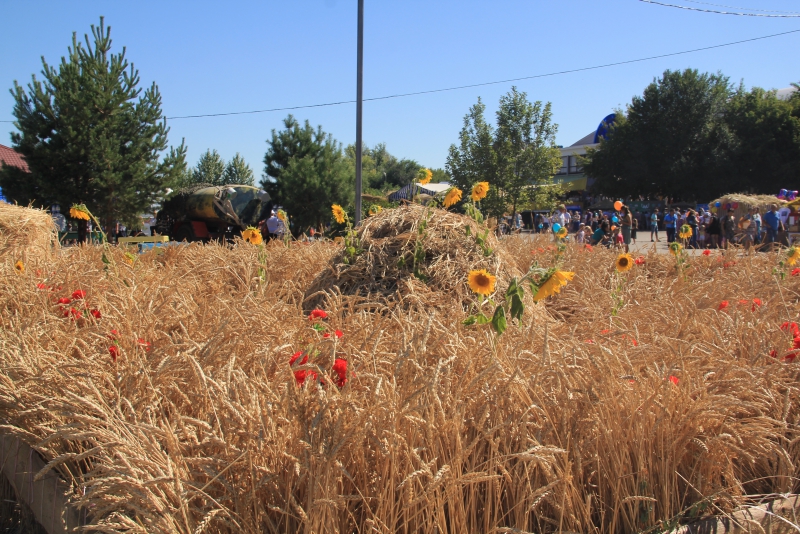 На хлебной пристани в Марксе выставили 350-килограммовый каравай