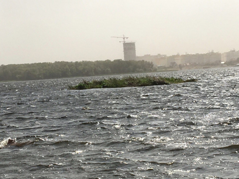 В Саратове ожидается гроза и сильный ветер