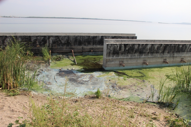 На набережной Саратова образовалось болото с голубыми пятнами