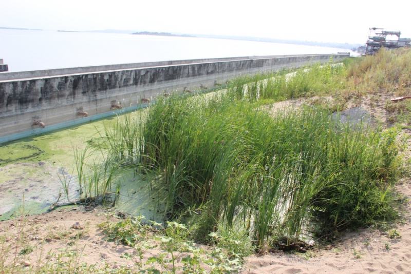 На набережной Саратова образовалось болото с голубыми пятнами