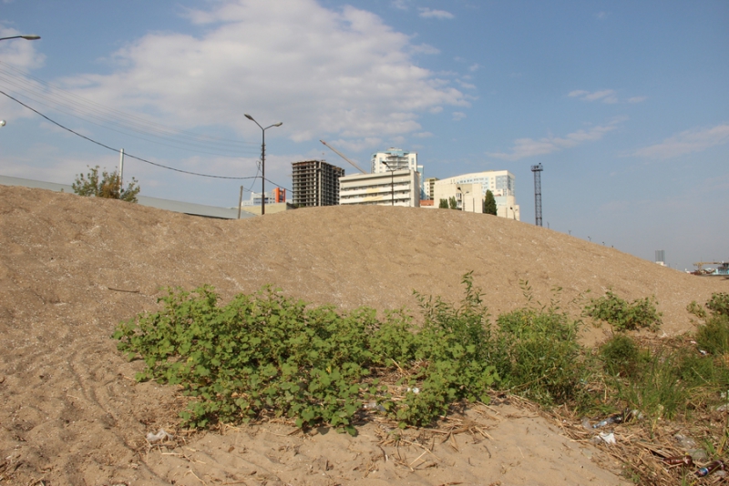 На набережной Саратова образовалось болото с голубыми пятнами