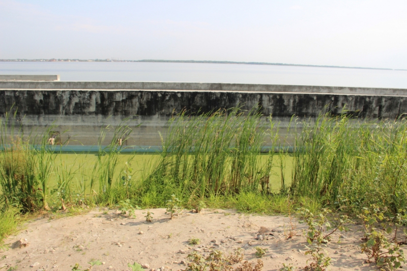 На набережной Саратова образовалось болото с голубыми пятнами