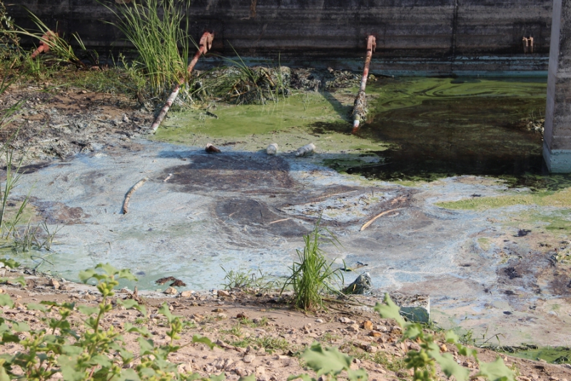 На набережной Саратова образовалось болото с голубыми пятнами