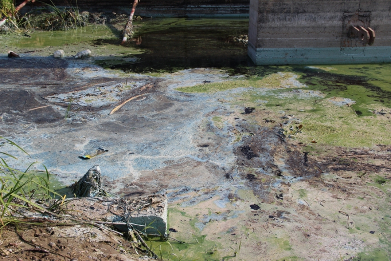 На набережной Саратова образовалось болото с голубыми пятнами