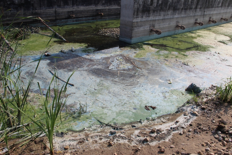 На набережной Саратова образовалось болото с голубыми пятнами