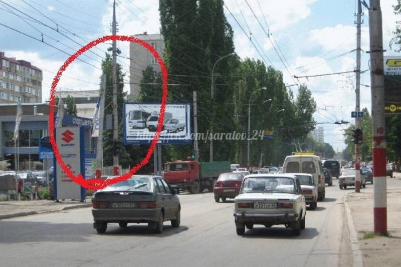 Саратовцы требуют вернуть спиленные на Чернышевского голубые ели