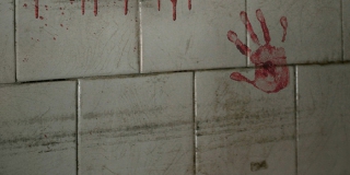 Под Энгельсом нашли труп женщины с ранением в бедро Под Энгельсом нашли труп женщины с ранением в бедро