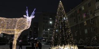 Улицы Саратова заполнили деды морозы и сказочные звери. Новогодний фоторепортаж