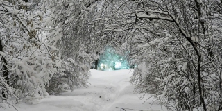 В Саратове на выходных прогнозируют сильный снегопад