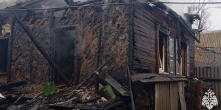 Под Вольском кот разбудил уснувшего курильщика и спас его на пожаре Под Вольском кот разбудил уснувшего курильщика и спас его на пожаре