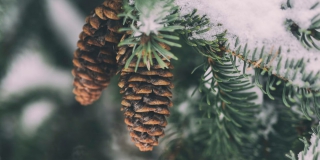 В Саратовской области потеплеет до 0 градусов и пройдут снегопады В Саратовской области потеплеет до 0 градусов и пройдут снегопады