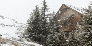 Февраль в Саратовской области начнется со снегопада и тумана Февраль в Саратовской области начнется со снегопада и тумана