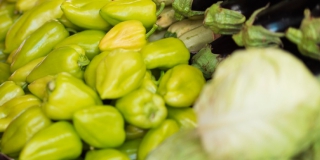 На Театральной площади ярмарка «выходного дня» возобновляет работу На Театральной площади ярмарка «выходного дня» возобновляет работу