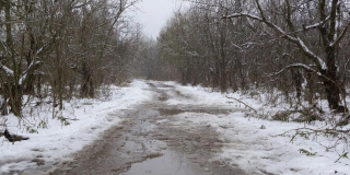 Выходные в Саратове пройдут с температурой до +2 и смешанными осадками Выходные в Саратове пройдут с температурой до +2 и смешанными осадками