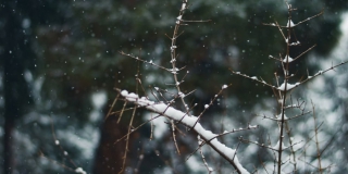 В Саратовской области суббота пройдет с облачной погодой и туманом В Саратовской области суббота пройдет с облачной погодой и туманом